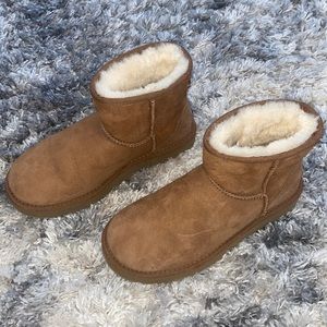 UGG - Classic Mini 11 in Chestnut. Size 7
